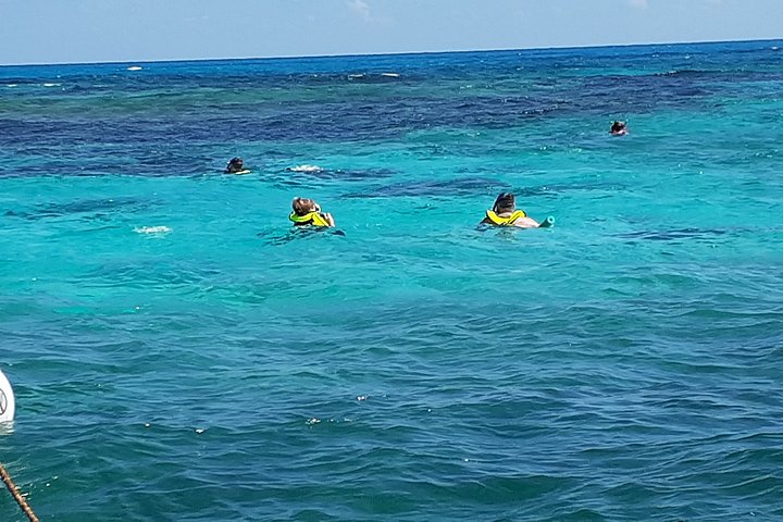 A Unique Private Snorkel Tour Of Key Largo - thumb 4
