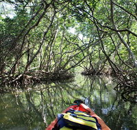 Lido Key Mangrove Tunnels Kayak Tour - China Accommodation
