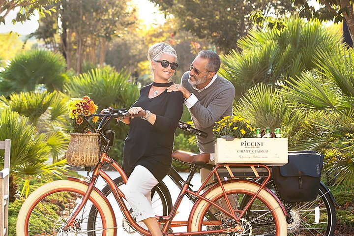 EBike Rentals Through Pedego Tampa - thumb 0