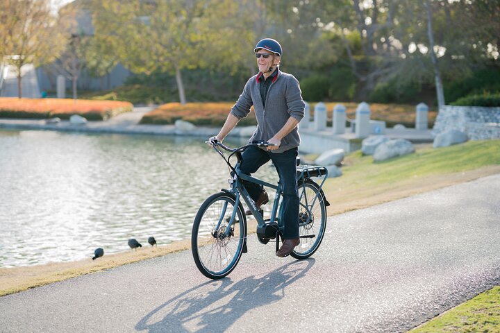 EBike Rentals Through Pedego Tampa - thumb 1