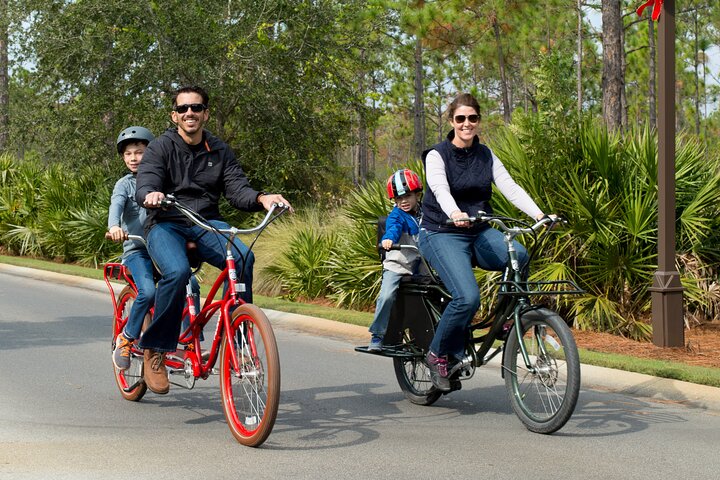 EBike Rentals Through Pedego Tampa - thumb 5
