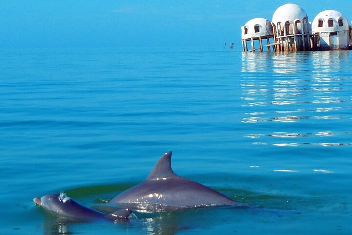 Dolphins And Dome House Tour - thumb 0