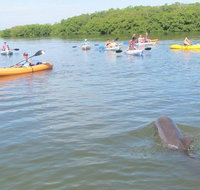 Fully Guided Kayaking Backwater Manatee and Dolphin Tour - China Accommodation