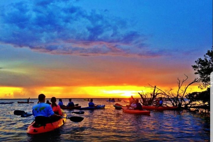 Cocoa Beach Night Time Bioluminescence Kayak Tour - thumb 2