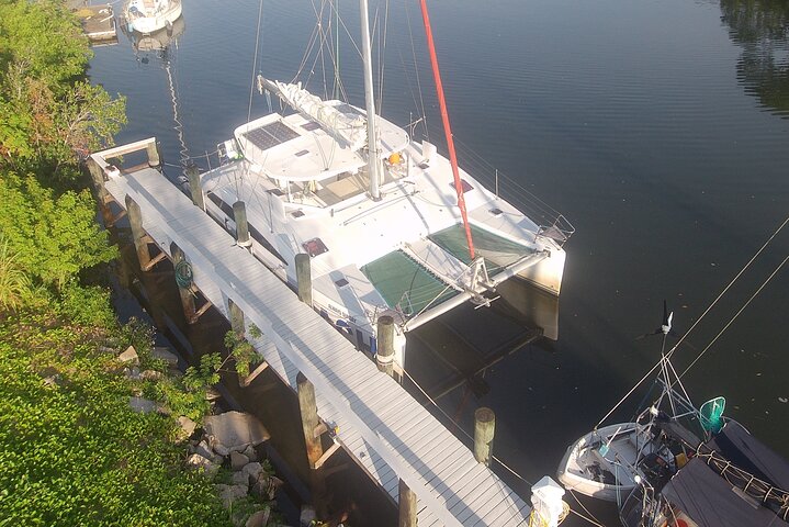 Dolphin Watching And Nature Catamaran Sail In Merritt Island - thumb 2