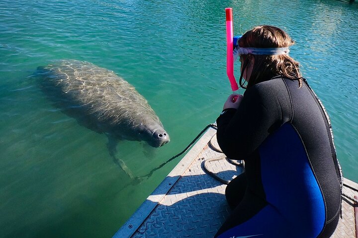 Self Drive: Swim With Manatees On The Crystal River - thumb 1