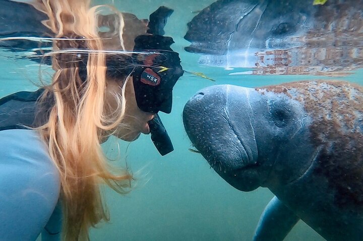Self Drive: Swim With Manatees On The Crystal River - thumb 4