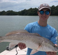 4-Hour Private Inshore Fishing Trip in Sarasota - China Accommodation