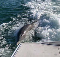 Parasailing Adventure in Anna Maria Island - China Accommodation