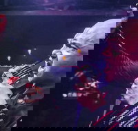 Singing your Dreams - Dinner Show in Orlando - USA Accommodation