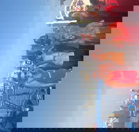 Dolphin Tour Thrill Ride - Tourism Bookings