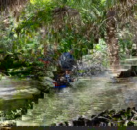 Clear Kayak Tours on Chassahowitzka River - Students Accommodation