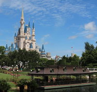 Arrival Private Transfer Port Canaveral to Orlando by Minibus - China Accommodation