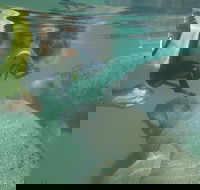 Deluxe Manatee Swim Tour - Students Accommodation