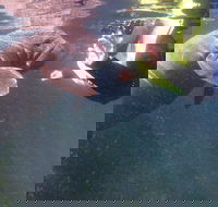 Manatees and Rainbow River by SCUBA or Snorkel - Students Accommodation