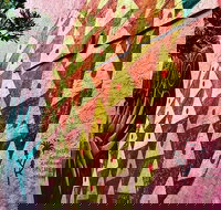 Craft Food Tour in Delray Beach - Tourism Bookings