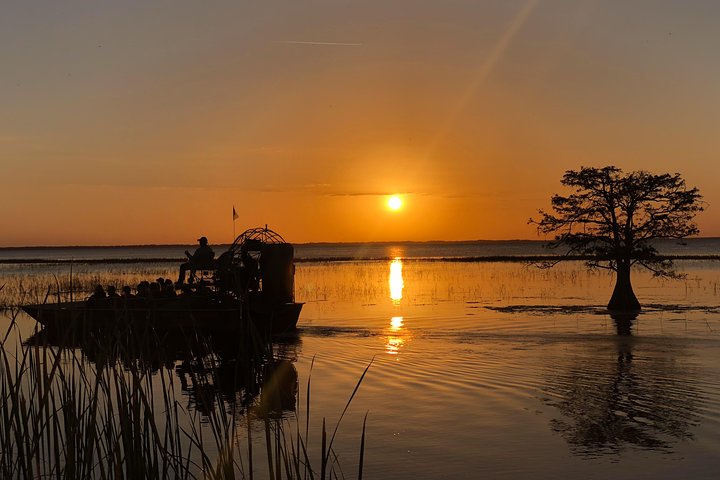 1-Hour Sunset Airboat Ride - thumb 3