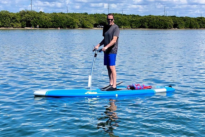 Tampa Bay Marine Life Stand Up Paddle Boarding Activity - thumb 5