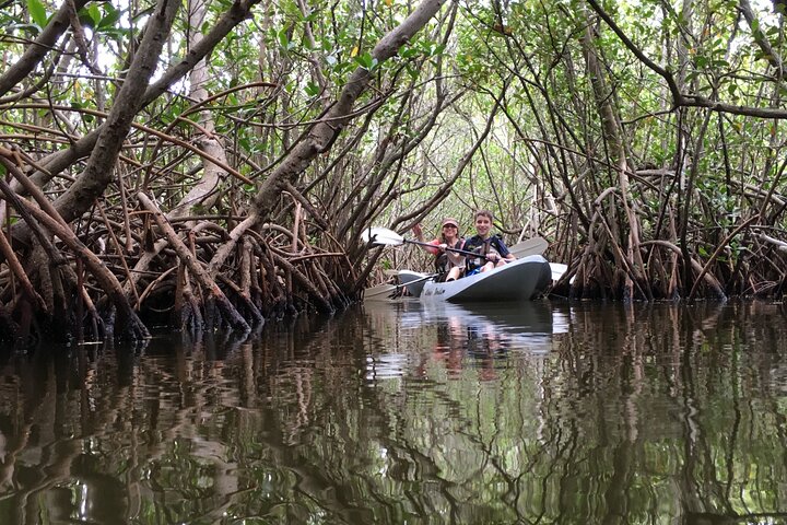 #1 Mangrove Tunnel, Manatee & Dolphin Kayak Tour Fin Expeditions Of Cocoa Beach! - thumb 0