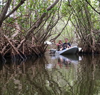 1 Mangrove Tunnel Manatee  Dolphin Kayak Tour Fin Expeditions of Cocoa Beach - China Accommodation