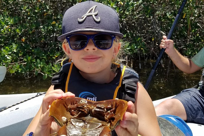 #1 Mangrove Tunnel, Manatee & Dolphin Kayak Tour Fin Expeditions Of Cocoa Beach! - thumb 1