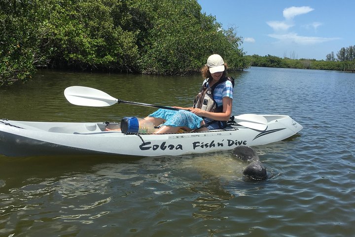 #1 Mangrove Tunnel, Manatee & Dolphin Kayak Tour Fin Expeditions Of Cocoa Beach! - thumb 5
