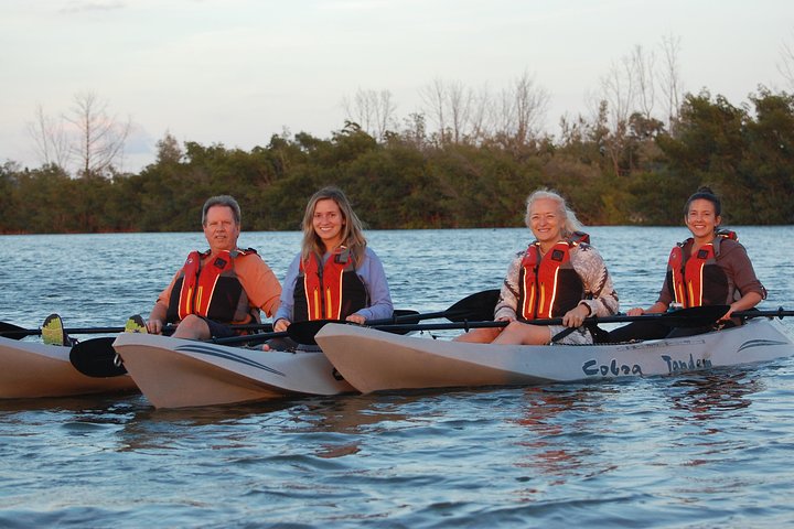 Mangrove Tunnels, Manatee, And Dolphin Sunset Kayak Tour With Fin Expeditions - thumb 4