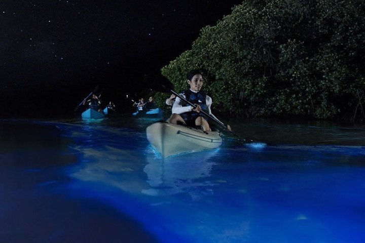 Bioluminescent Kayak Tour. Fin Expeditions Is Cocoa Beaches Top Rated Kayak Tour - thumb 0