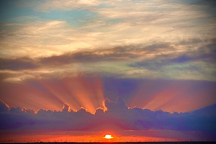 Private Airboat Tour! - thumb 0