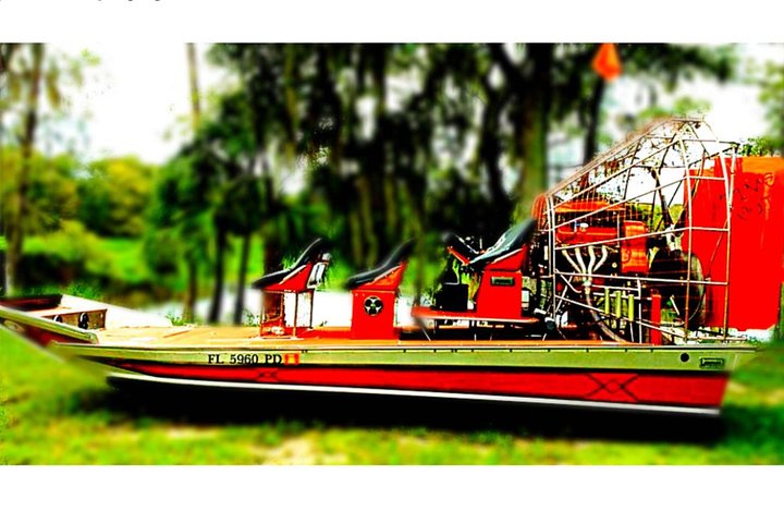 Private Airboat Tour! - thumb 5