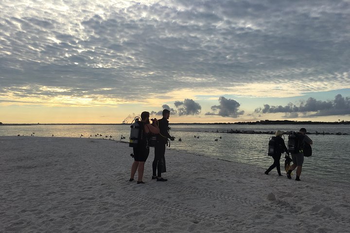 Small Group Guided Shore Dives In St. Andrews State Park, Florida - thumb 3