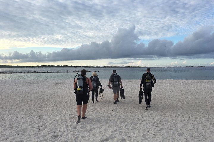 Small Group Guided Shore Dives In St. Andrews State Park, Florida - thumb 4