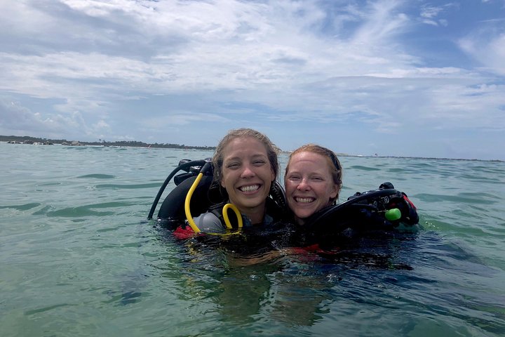 Small Group Guided Shore Dives In St. Andrews State Park, Florida - thumb 5