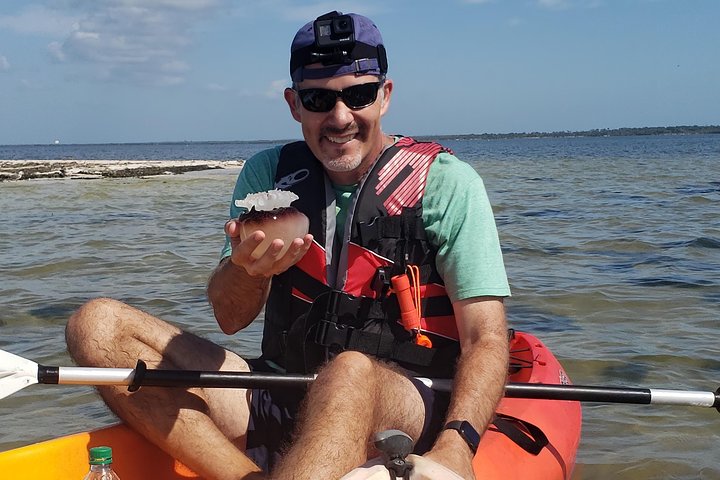 Manatee And Dolphin Kayaking | Haulover Canal (Titusville) - thumb 0