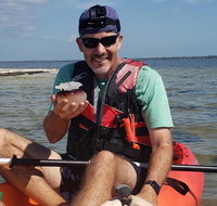 Manatee and Dolphin Kayaking  Haulover Canal Titusville - China Accommodation