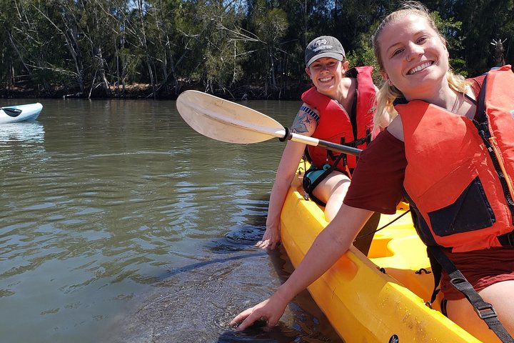 Manatee And Dolphin Kayaking | Haulover Canal (Titusville) - thumb 1