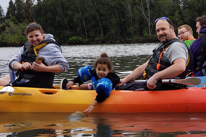 Manatee And Dolphin Kayaking | Haulover Canal (Titusville) - thumb 2