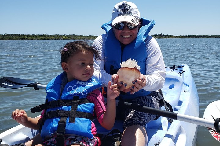 Manatee And Dolphin Kayaking | Haulover Canal (Titusville) - thumb 3