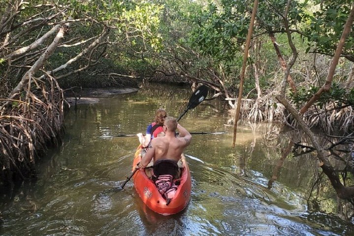 Kayak And Stand Up Paddleboard Rentals At Lido Mangrove Tunnels - thumb 4