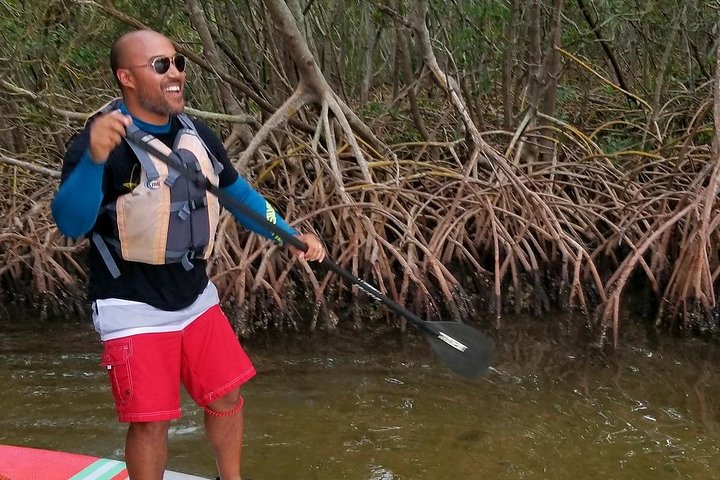 Kayak And Stand Up Paddleboard Rentals At Lido Mangrove Tunnels - thumb 5