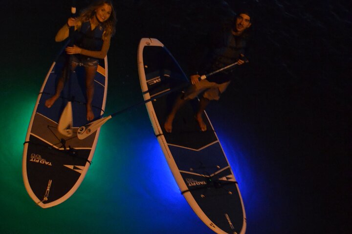 LED Night Light Clear Bottom Kayak or Paddleboarding Bio Comb Jelly Tour