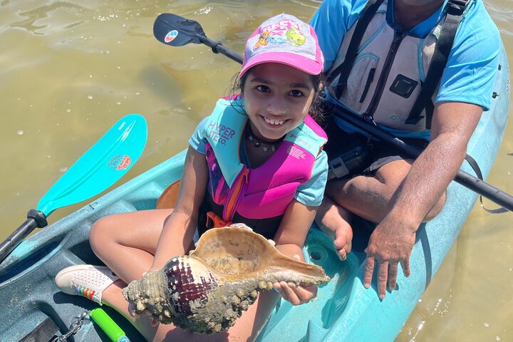 Wildlife Refuge Dolphin, Manatee & Mangrove Kayak Or Paddleboarding Tour! - thumb 1