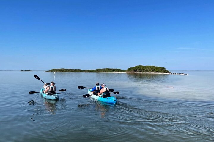 Wildlife Refuge Dolphin, Manatee & Mangrove Kayak Or Paddleboarding Tour! - thumb 2