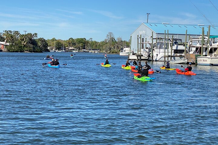 Full Day Single Kayak Rental In Crystal River - thumb 1