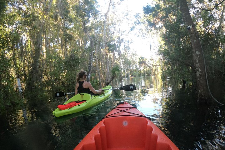 Full Day Single Kayak Rental In Crystal River - thumb 4