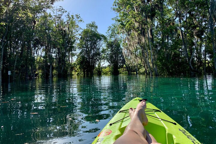 Full Day Single Kayak Rental In Crystal River - thumb 5