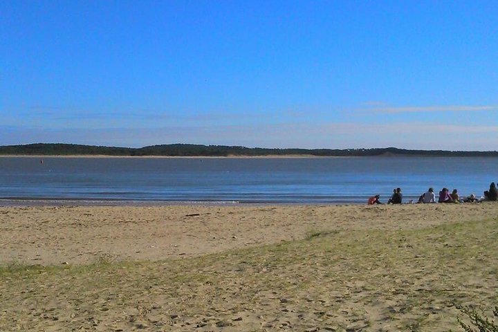 Taichi & Qigong Class In Naples, Florida - thumb 0