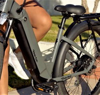 Electric Bike Rentals in The Villages Florida with Delivery - China Accommodation