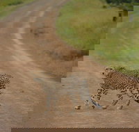 Tanzania safari 1- Day - ARUSHA NATIONAL PARK VISIT - Tourism Bookings