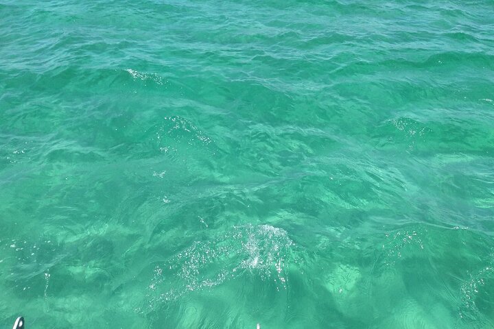 Destin Crab Island And Dolphin Boat Tours - thumb 1